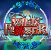 Wild Flower на Vulkan